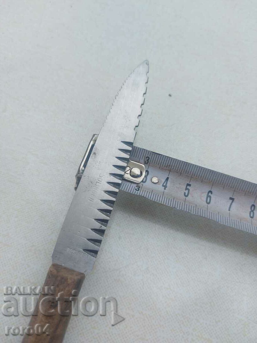 Delivery of SOLINGEN