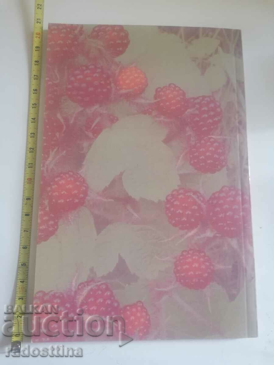 Autograph The Rubies of Ida Victoria Radeva with price 19.99 BGN | € 10.22