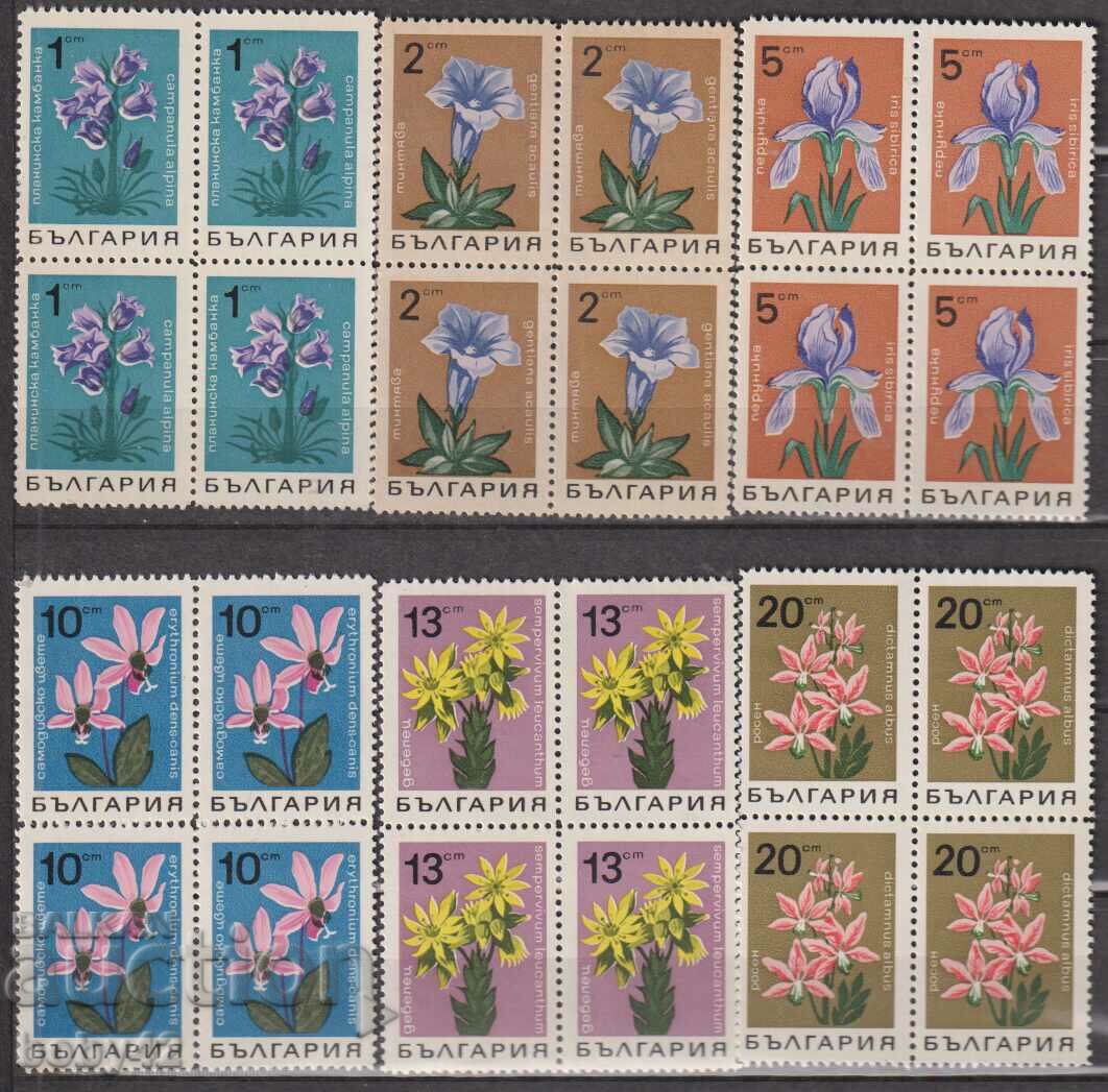 BK 1855-1861 Flori - pătrat