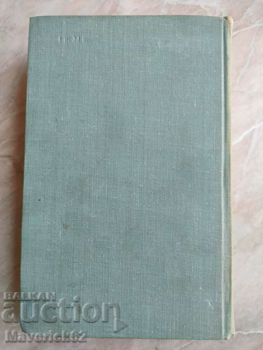 Delivery of Raised celery in Russian Delivery of Raised celery in Russian