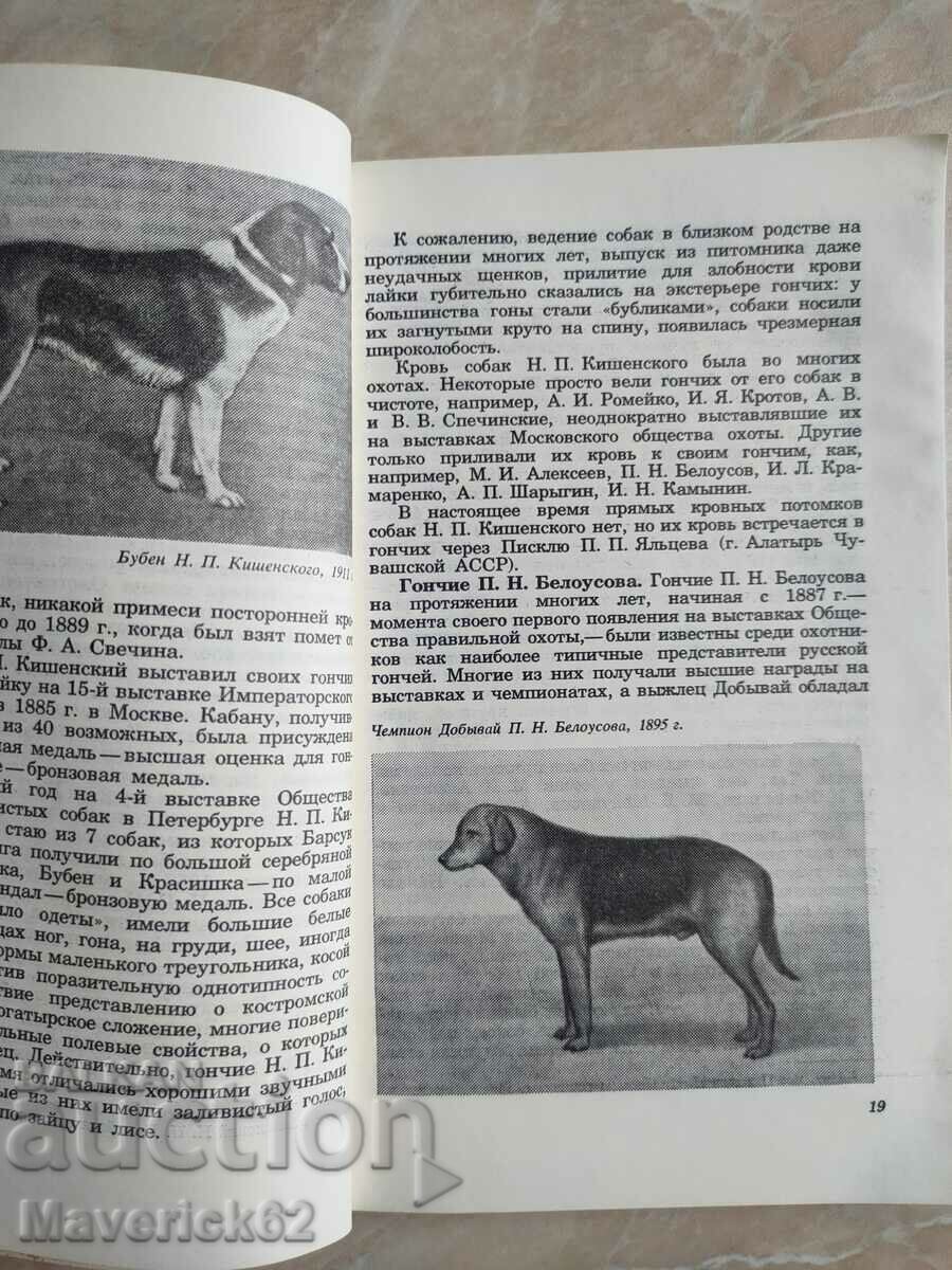 Auction  A book about hunting dogs, Beagle, in Russian