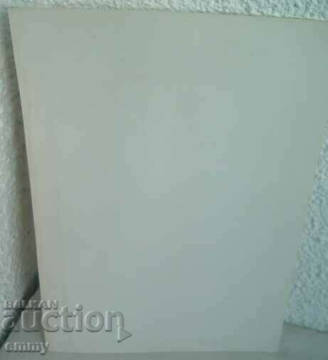 Auction Incomplete diploma from the time of Sotsa-BPS Auction Incomplete diploma from the time of Sotsa-BPS