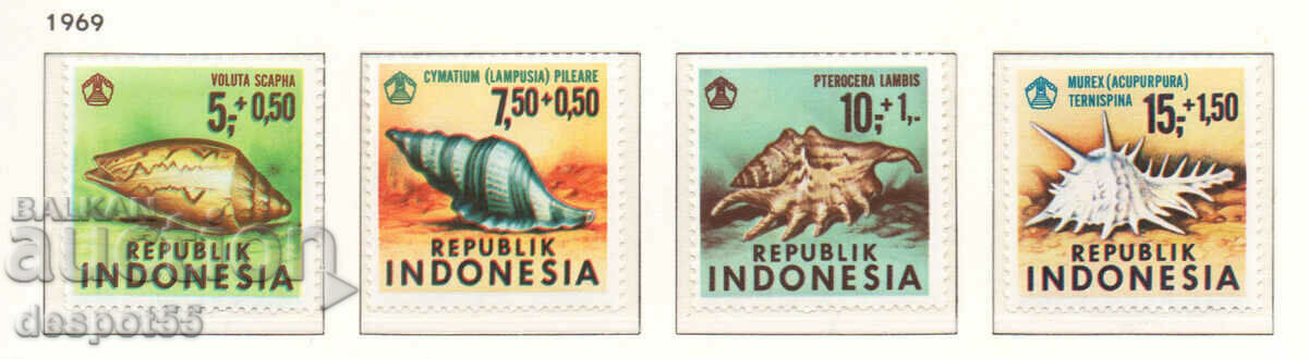 1969. Indonesia. Mussels.