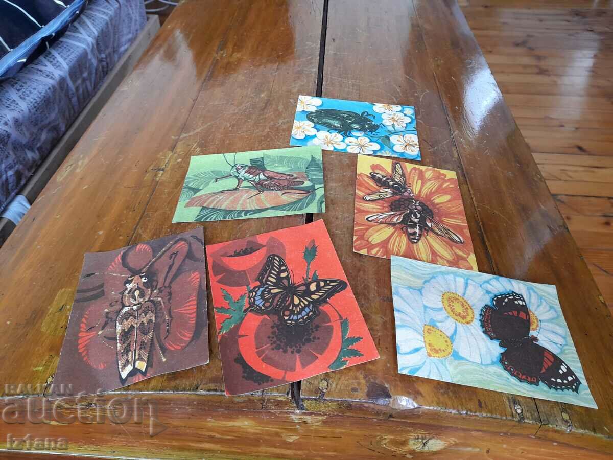 Auction An old childish game with cubes Auction An old childish game with cubes