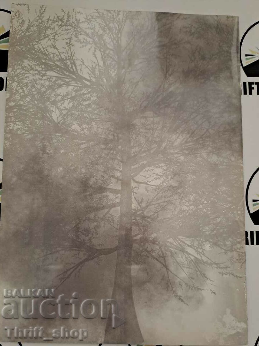 Military monuments built or restored by NIM and Sdruzhe with price 9.00 BGN | € 4.60 Military monuments built or restored by NIM and Sdruzhe with price 9.00 BGN | € 4.60