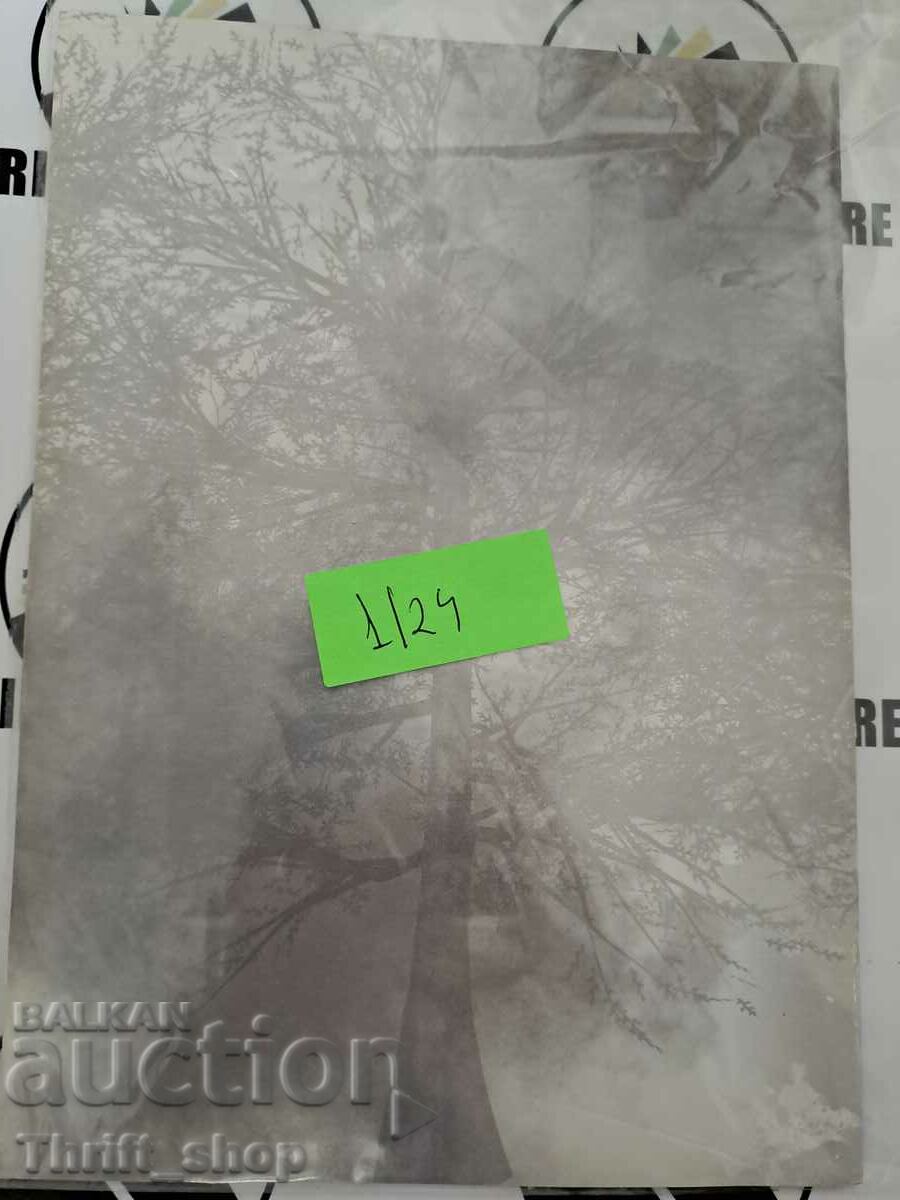 Auction Military monuments built or restored by NIM and Sdruzhe Auction Military monuments built or restored by NIM and Sdruzhe