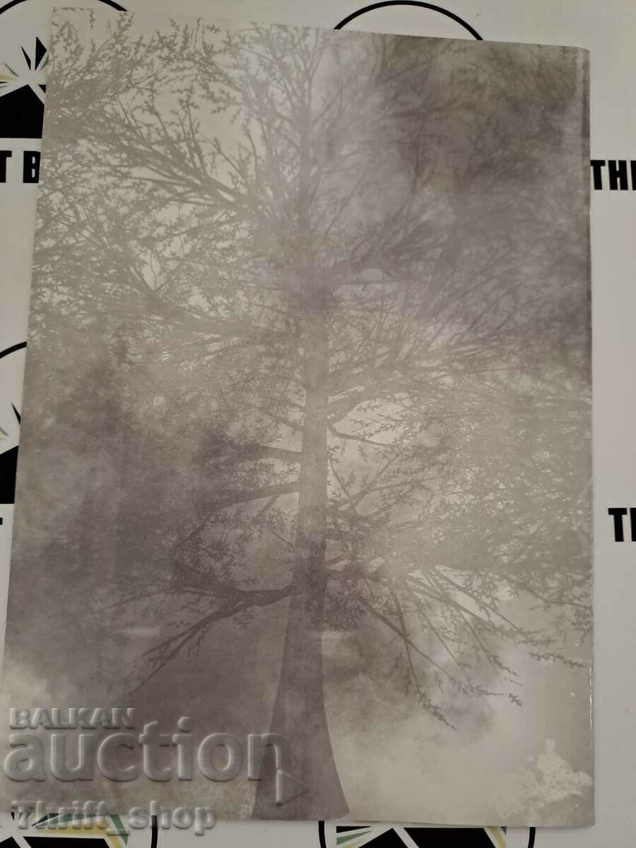 Military monuments built or restored by NIM and Sdruzhe with price 9.00 BGN | € 4.60 Military monuments built or restored by NIM and Sdruzhe with price 9.00 BGN | € 4.60