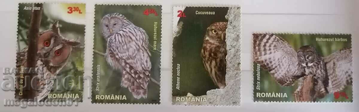 Румъния - фауна, сови