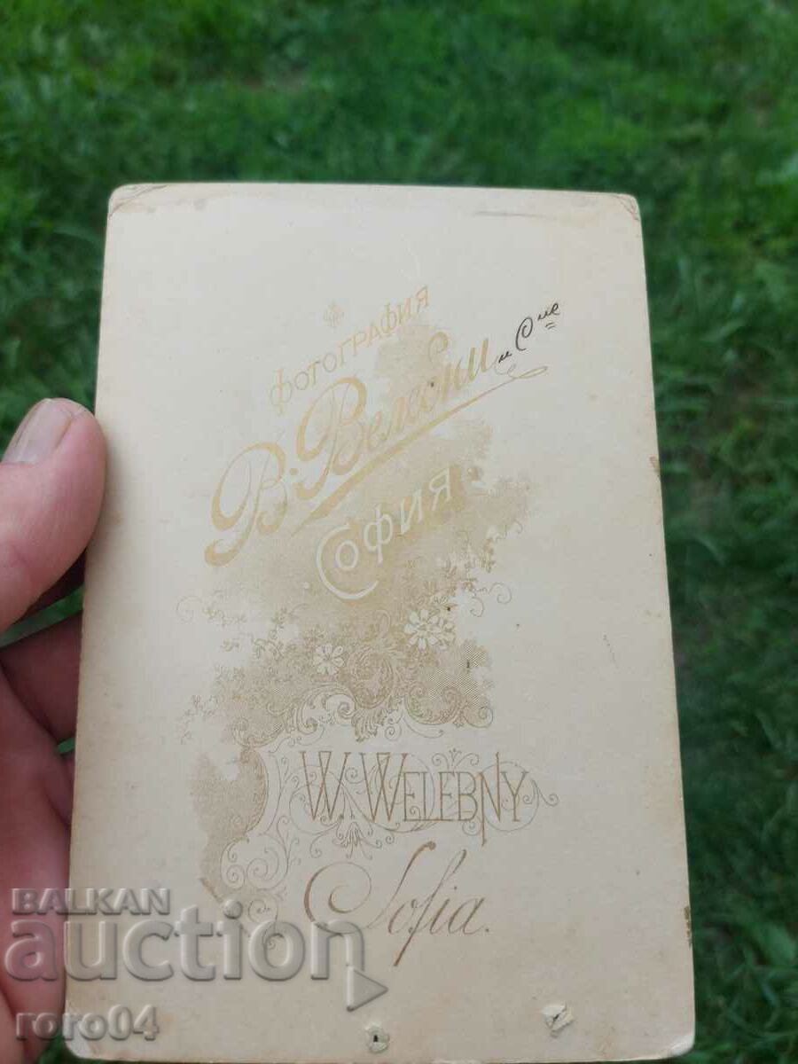 Delivery of V. VELEBNI - SOFIA Delivery of V. VELEBNI - SOFIA