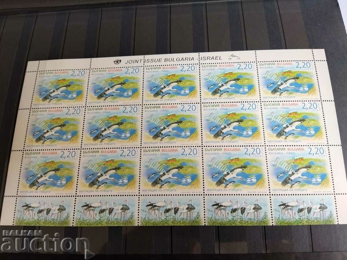 Bird migration - white stork sheet with UV from 2016. #5258