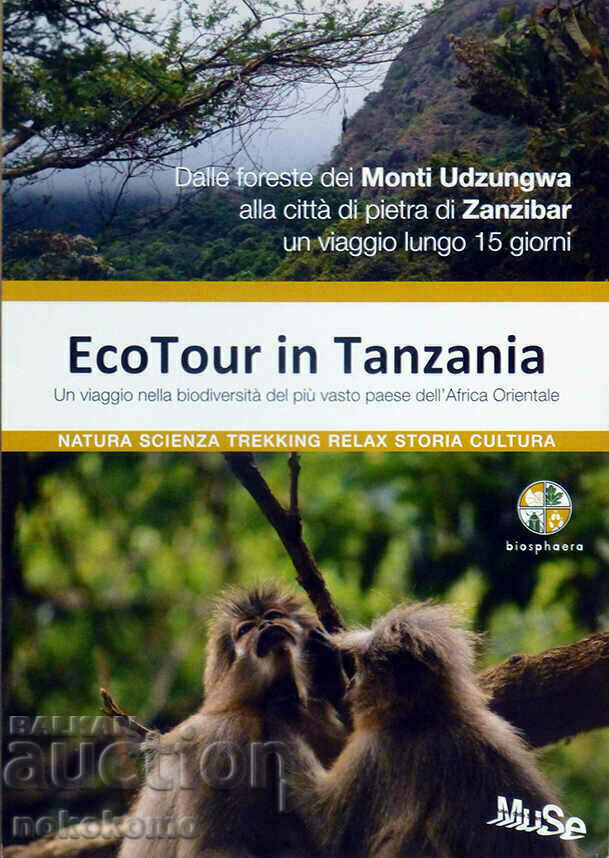 PROMO: ECO TOUR IN TANZANIA