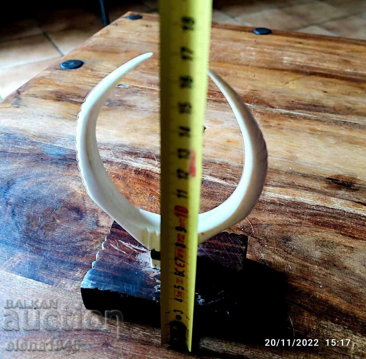 Auction Ivory decoration Auction Ivory decoration