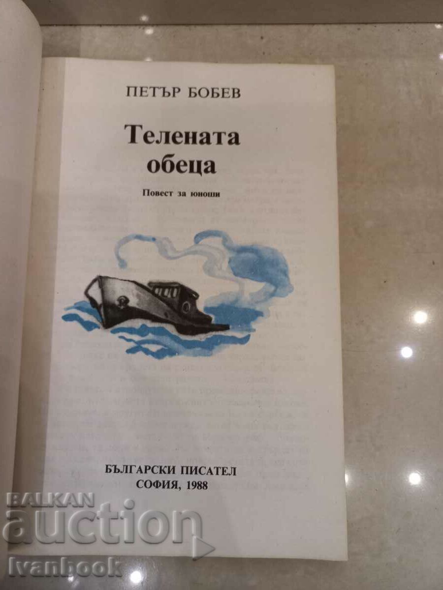 Auction  Petar Bobev - The wire earring