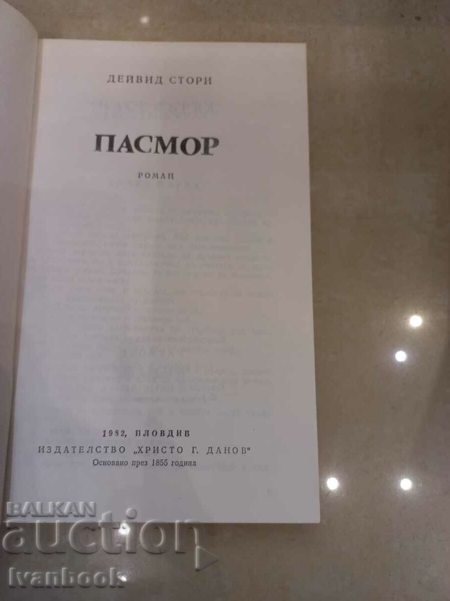 Auction David Story - Pasmore Auction David Story - Pasmore