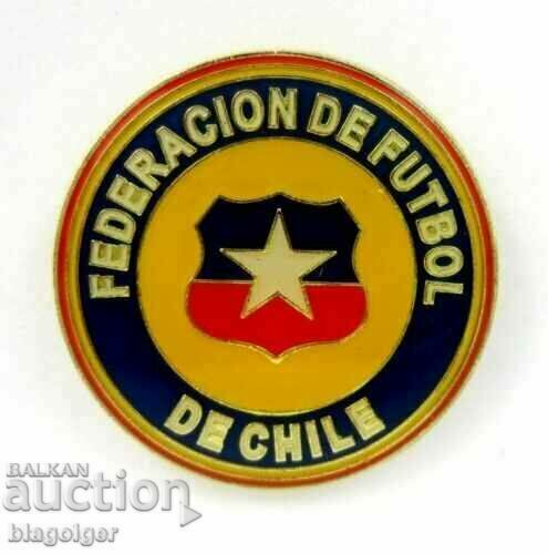 FOOTBALL - CHILE FOOTBALL FEDERATION - WORLD CUP 2010