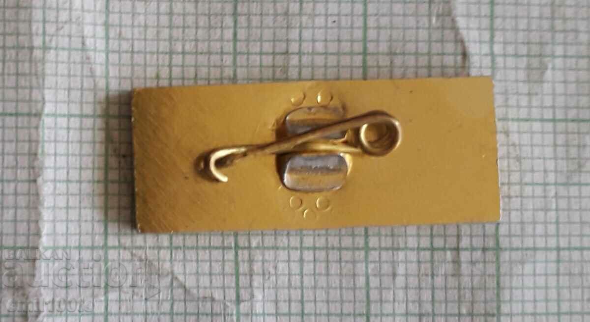 Delivery of Badge - Shooting Federation Delivery of Badge - Shooting Federation