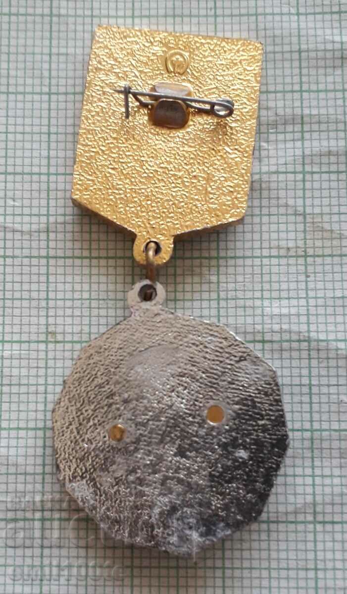 Badge VLKSM Young Guardsman 1st class Xl five-year - 5