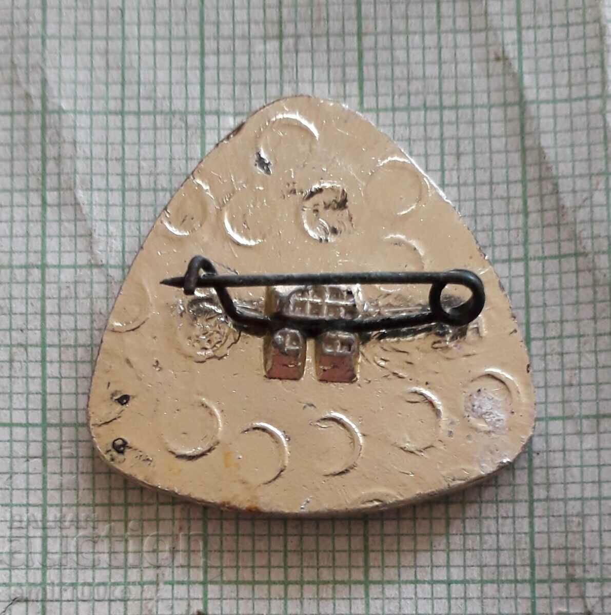 Delivery of Badge - Russian Kempo Organization