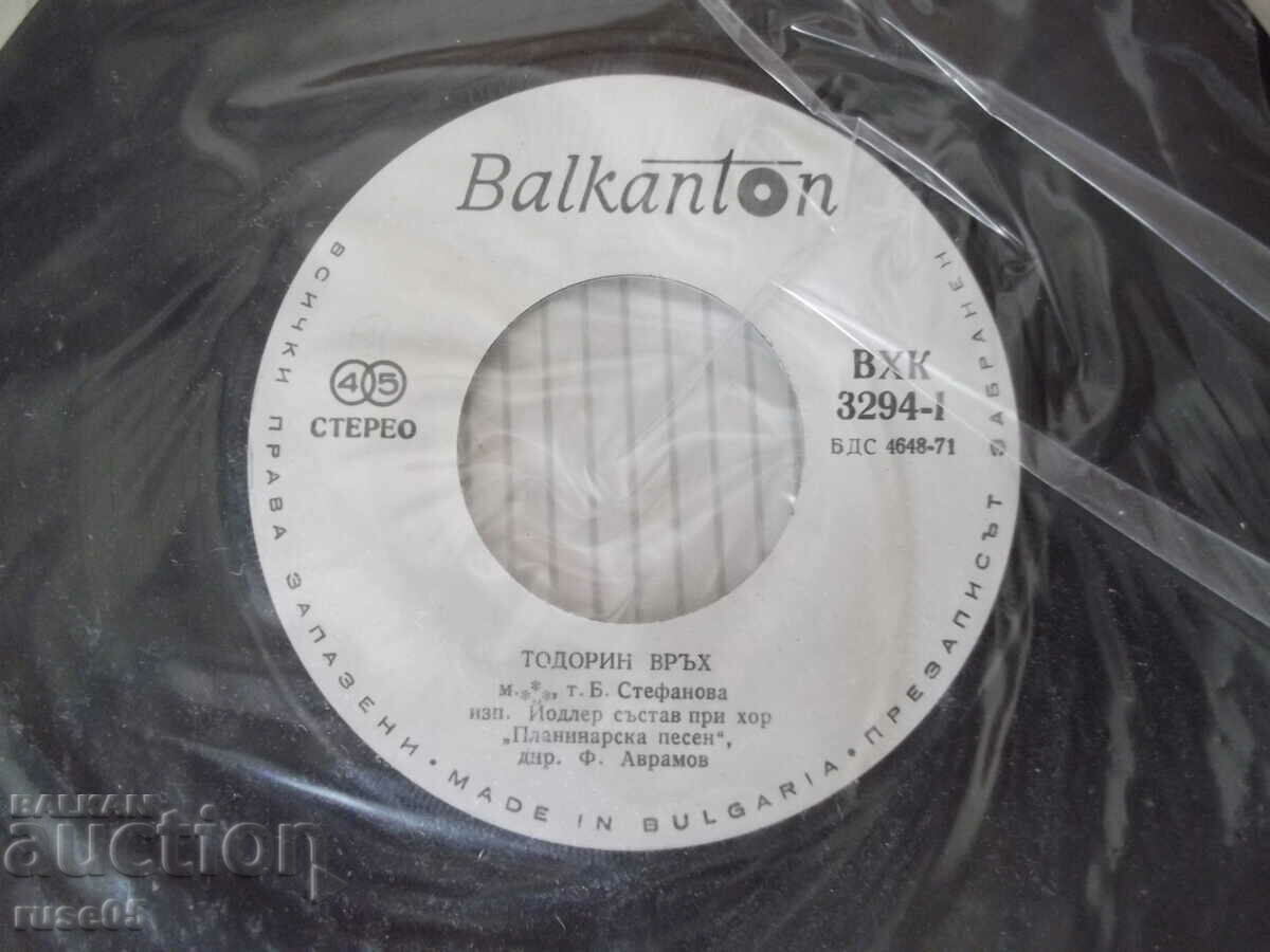 Auction Gramophone record "Tourist songs" Auction Gramophone record "Tourist songs"