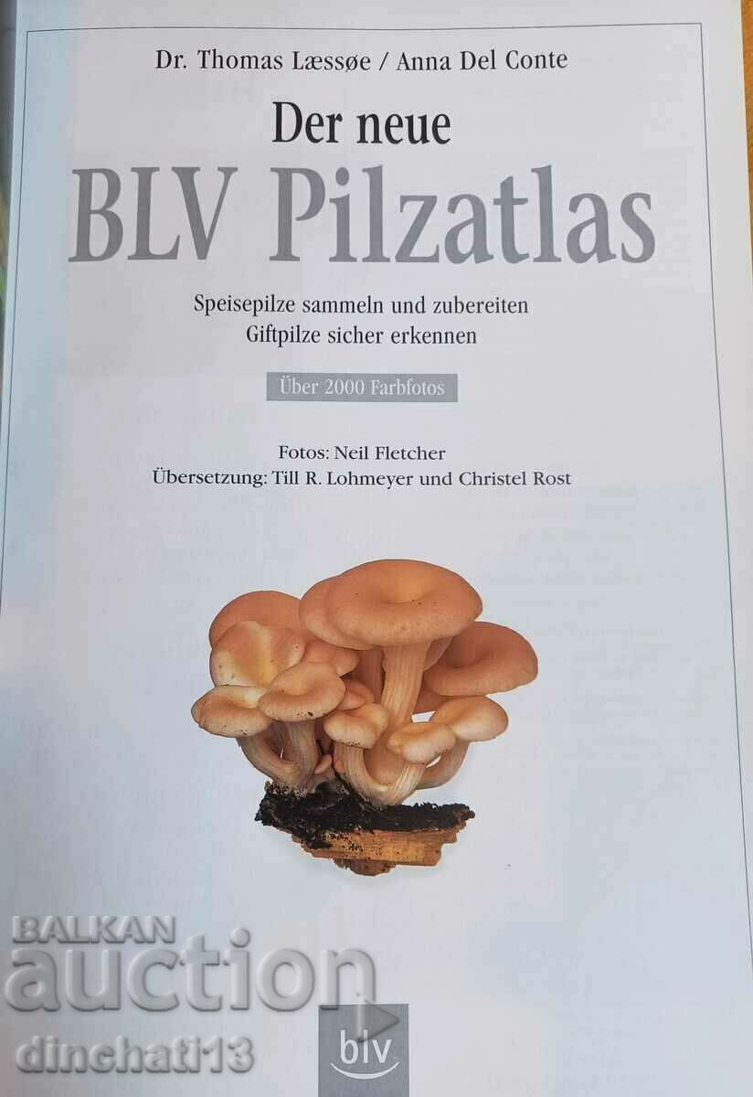 Der neue BLV Pilzatlas. Atlas of Mushrooms with price 39.00 BGN | € 19.94 Der neue BLV Pilzatlas. Atlas of Mushrooms with price 39.00 BGN | € 19.94