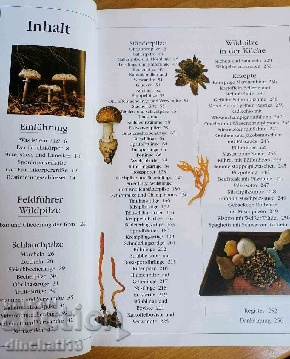 Auction Der neue BLV Pilzatlas. Atlas of Mushrooms Auction Der neue BLV Pilzatlas. Atlas of Mushrooms