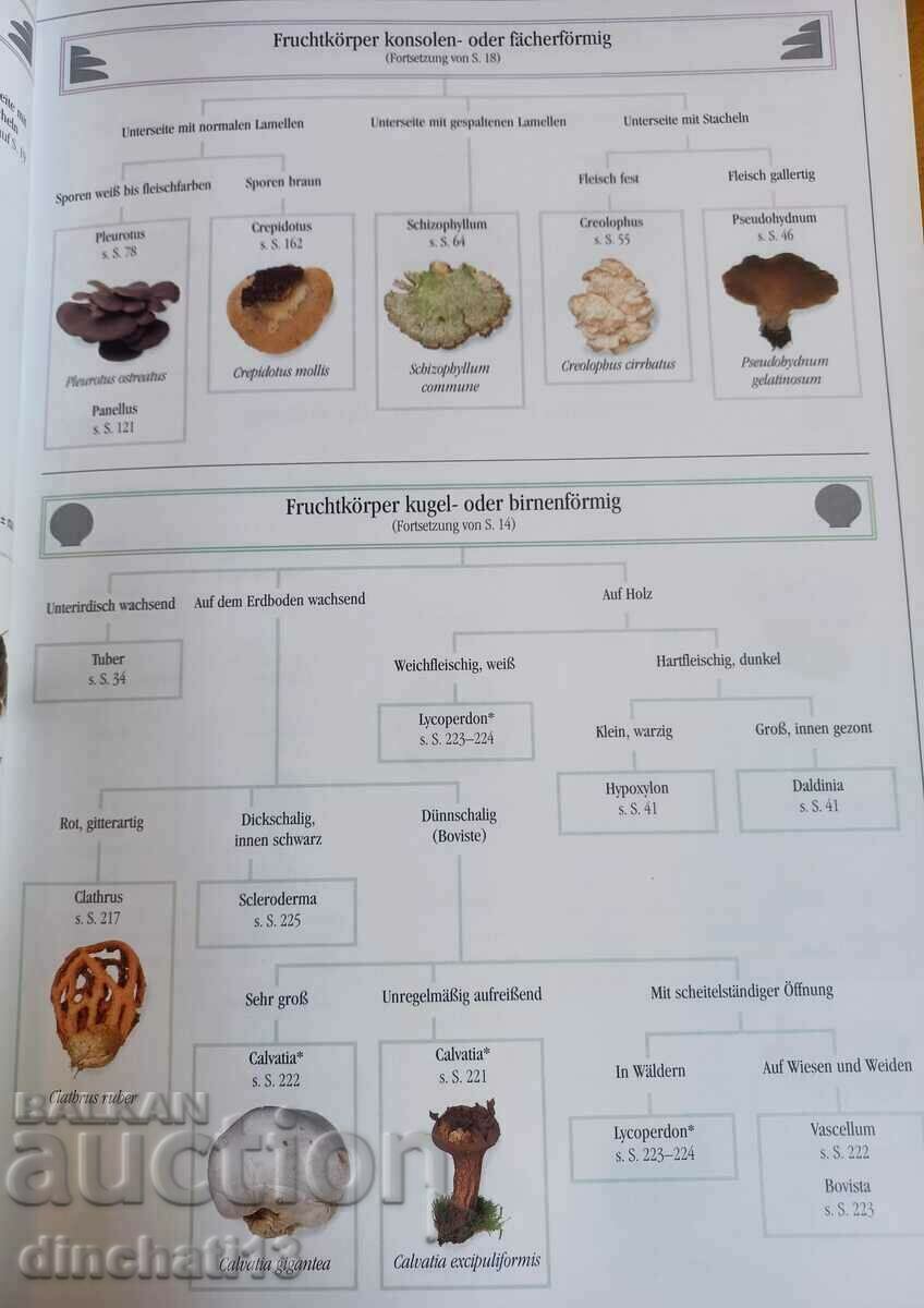 Delivery of Der neue BLV Pilzatlas. Atlas of Mushrooms Delivery of Der neue BLV Pilzatlas. Atlas of Mushrooms