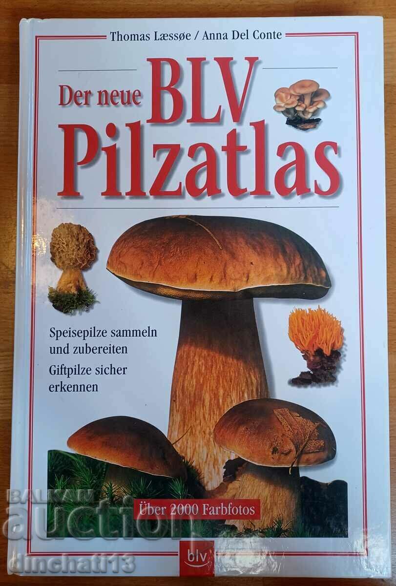 Der neue BLV Pilzatlas. Atlasul ciupercilor