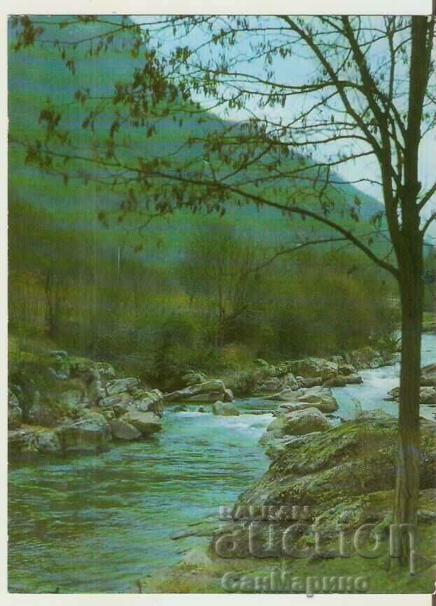 Bulgaria card Chepelarska river (Chaya)*