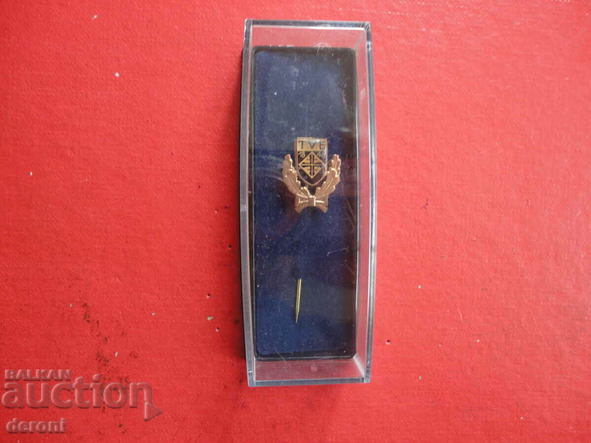 Ecuson fotbal ecuson sport pin de onoare TVE - 6