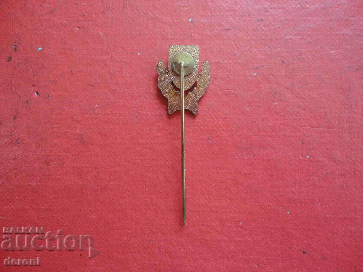 Livrarea Ecuson fotbal ecuson sport pin de onoare TVE 2