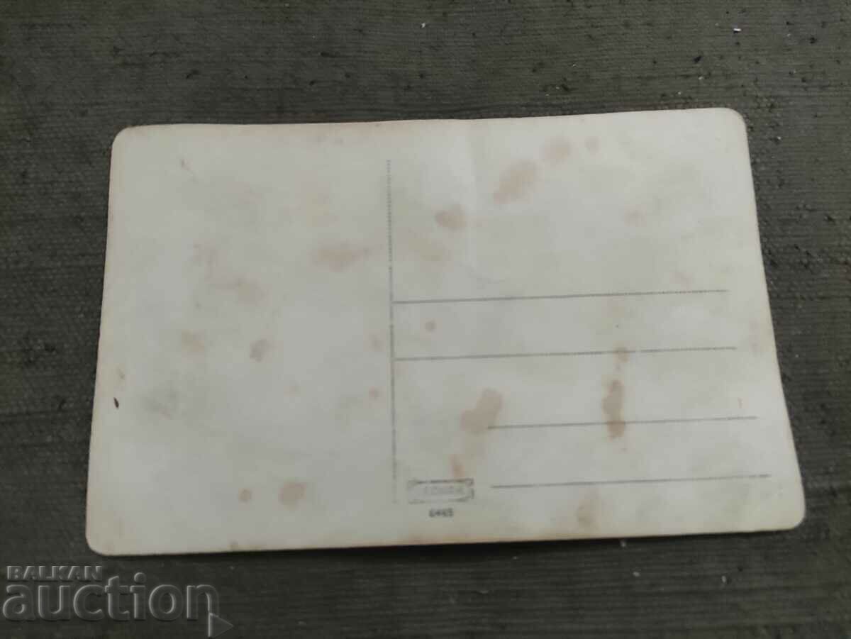 Children, students with price 40.00 BGN | € 20.45 Children, students with price 40.00 BGN | € 20.45