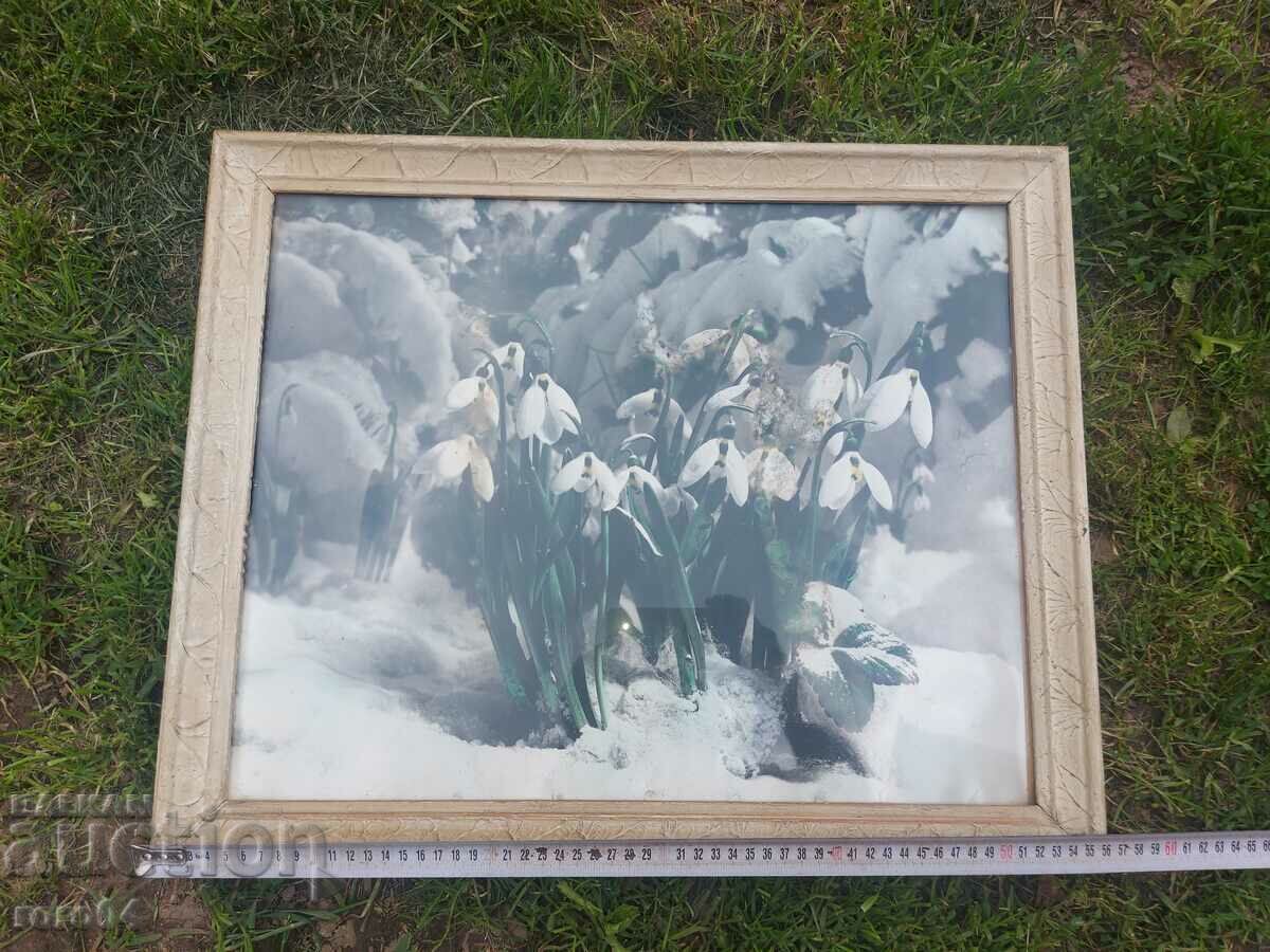 PICTURE - POSTER - FRAME - GLASS with price 45.00 BGN | € 23.01 PICTURE - POSTER - FRAME - GLASS with price 45.00 BGN | € 23.01