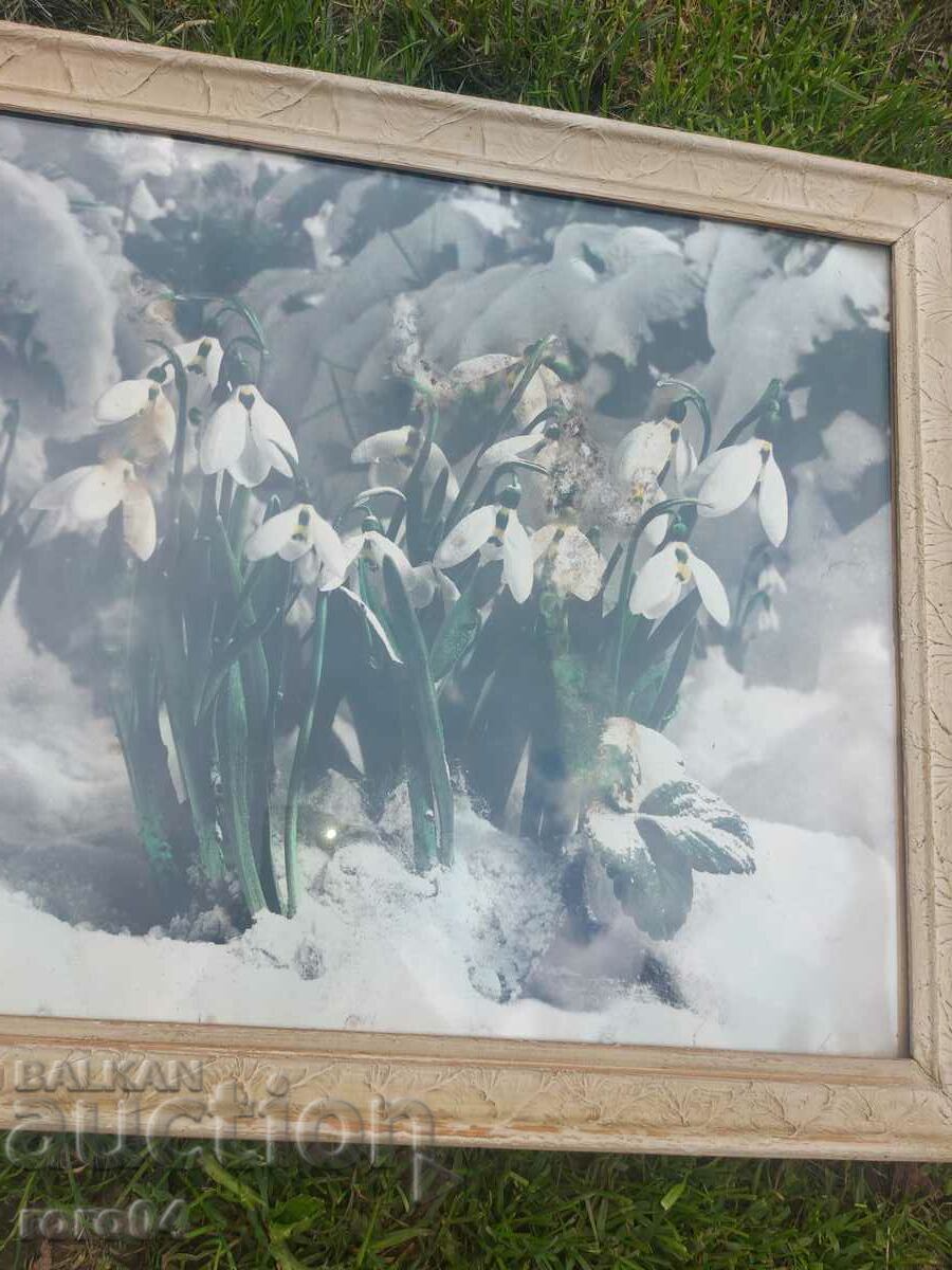 Delivery of PICTURE - POSTER - FRAME - GLASS Delivery of PICTURE - POSTER - FRAME - GLASS