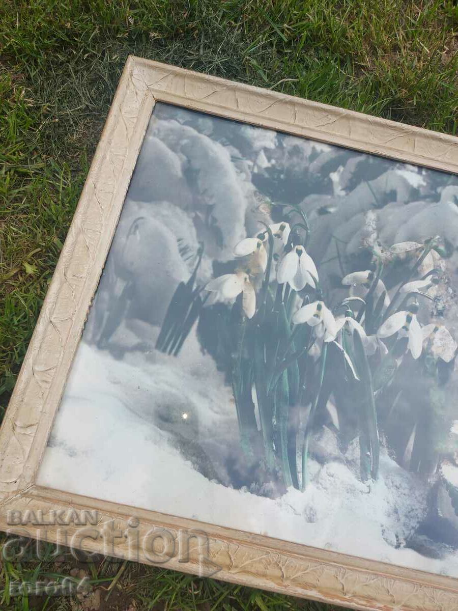 КАРТИНА - ПЛАКАТ - РАМКА - СТЪКЛО - 5