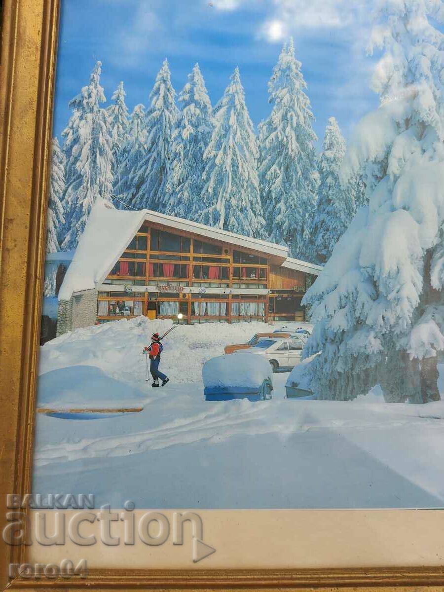 BOROVETS - THE TEA with price 45.00 BGN | € 23.01 BOROVETS - THE TEA with price 45.00 BGN | € 23.01