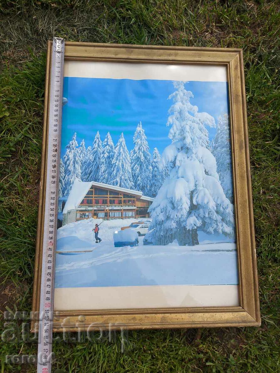 Auction BOROVETS - THE TEA Auction BOROVETS - THE TEA