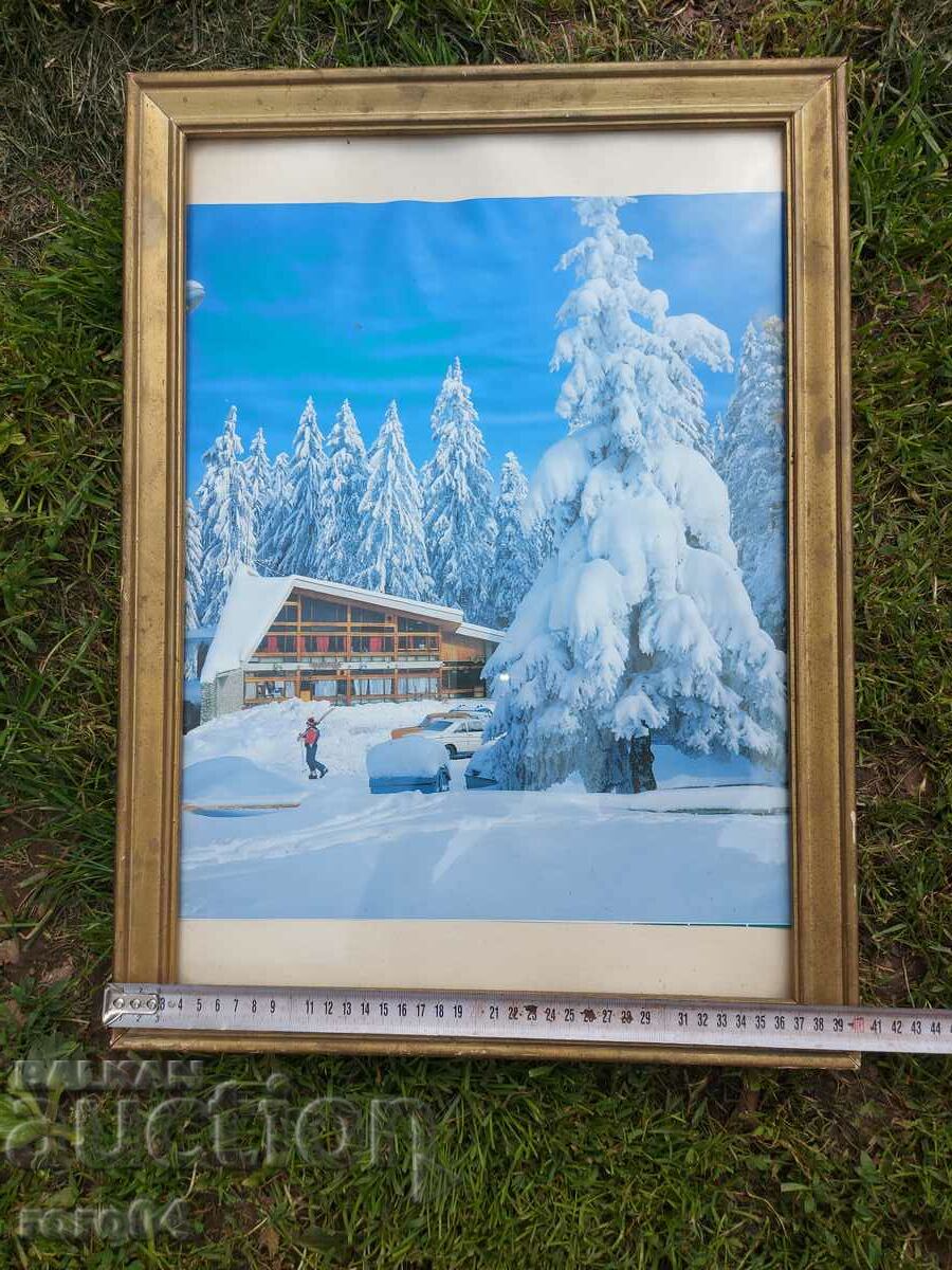 Delivery of BOROVETS - THE TEA Delivery of BOROVETS - THE TEA