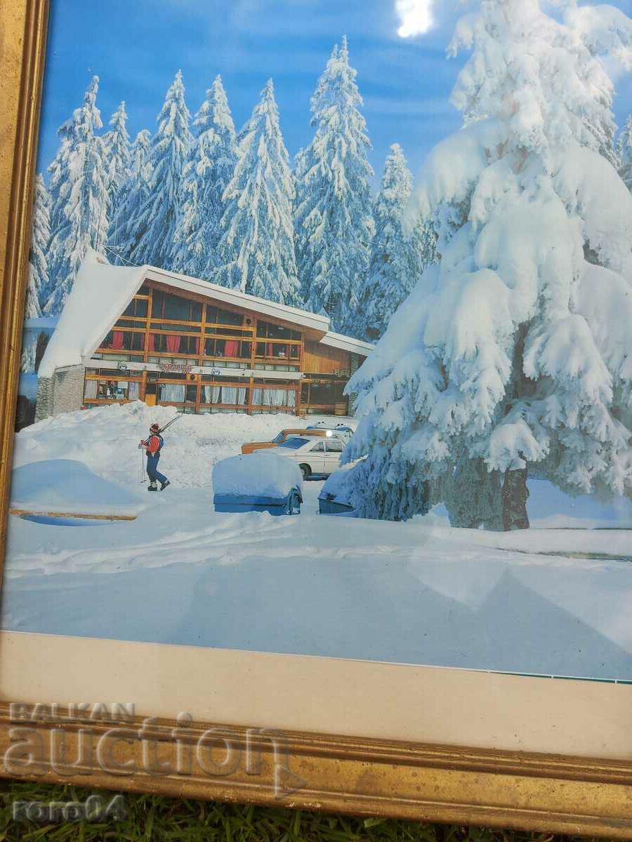 BOROVETS - THE TEA - 5 BOROVETS - THE TEA - 5