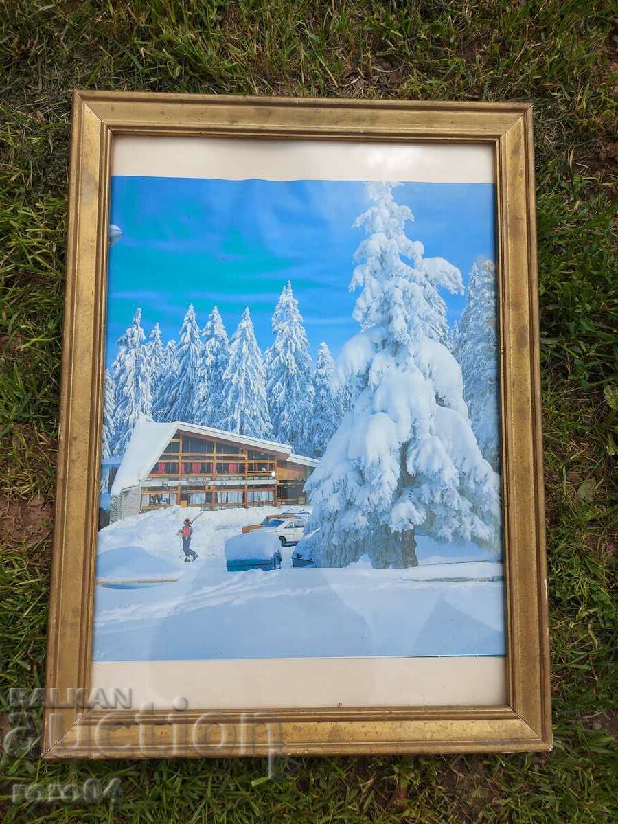 BOROVETS - THE TEA - 7