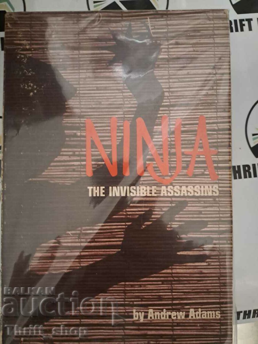 Ninja: The Invisible Assassins