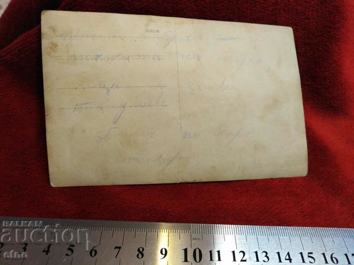 Δημοπρασία ΒΑΣΙΛΙΚΗ ΕΙΚΟΝΑ-ΦΟΣΤΟΥΜΙΑ Δημοπρασία ΒΑΣΙΛΙΚΗ ΕΙΚΟΝΑ-ΦΟΣΤΟΥΜΙΑ