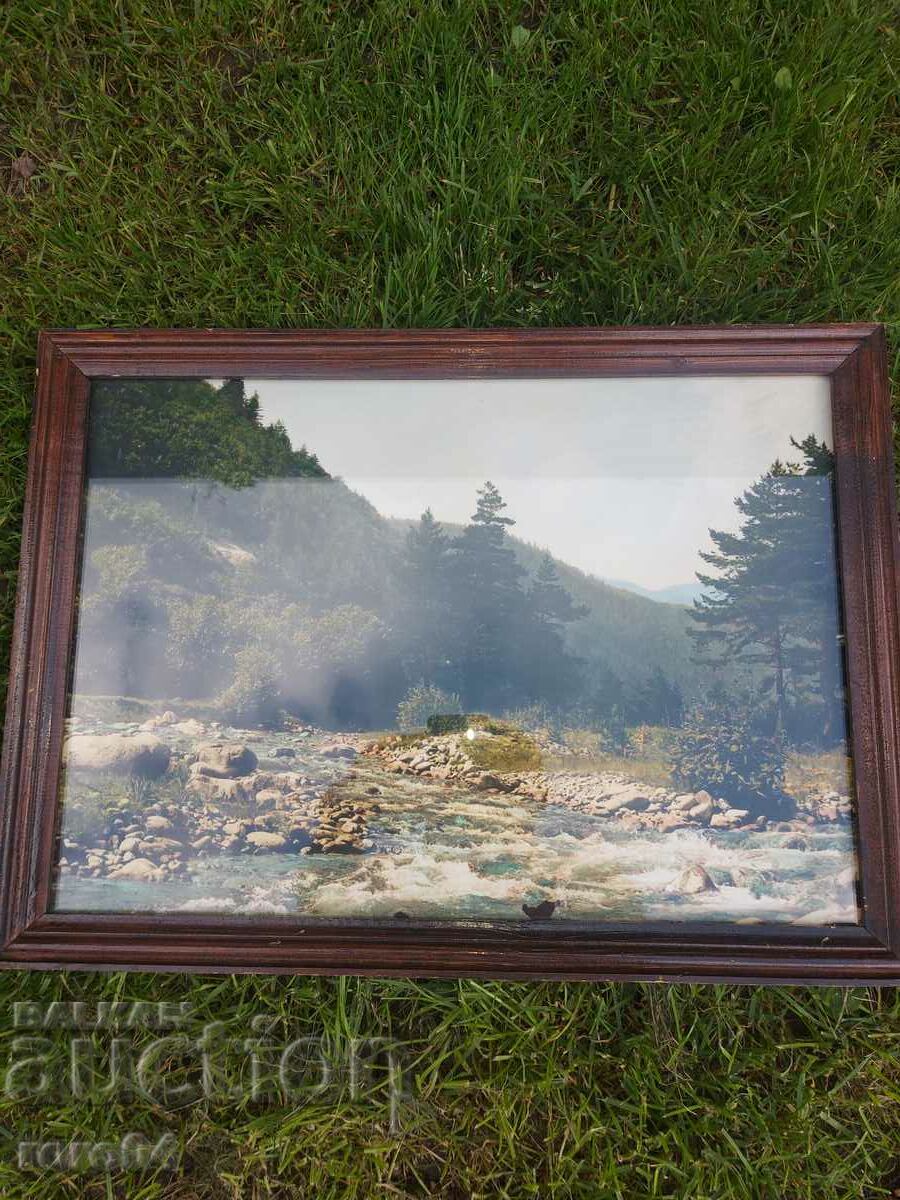 PICTURE - POSTER - FRAME - GLASS - 5 PICTURE - POSTER - FRAME - GLASS - 5