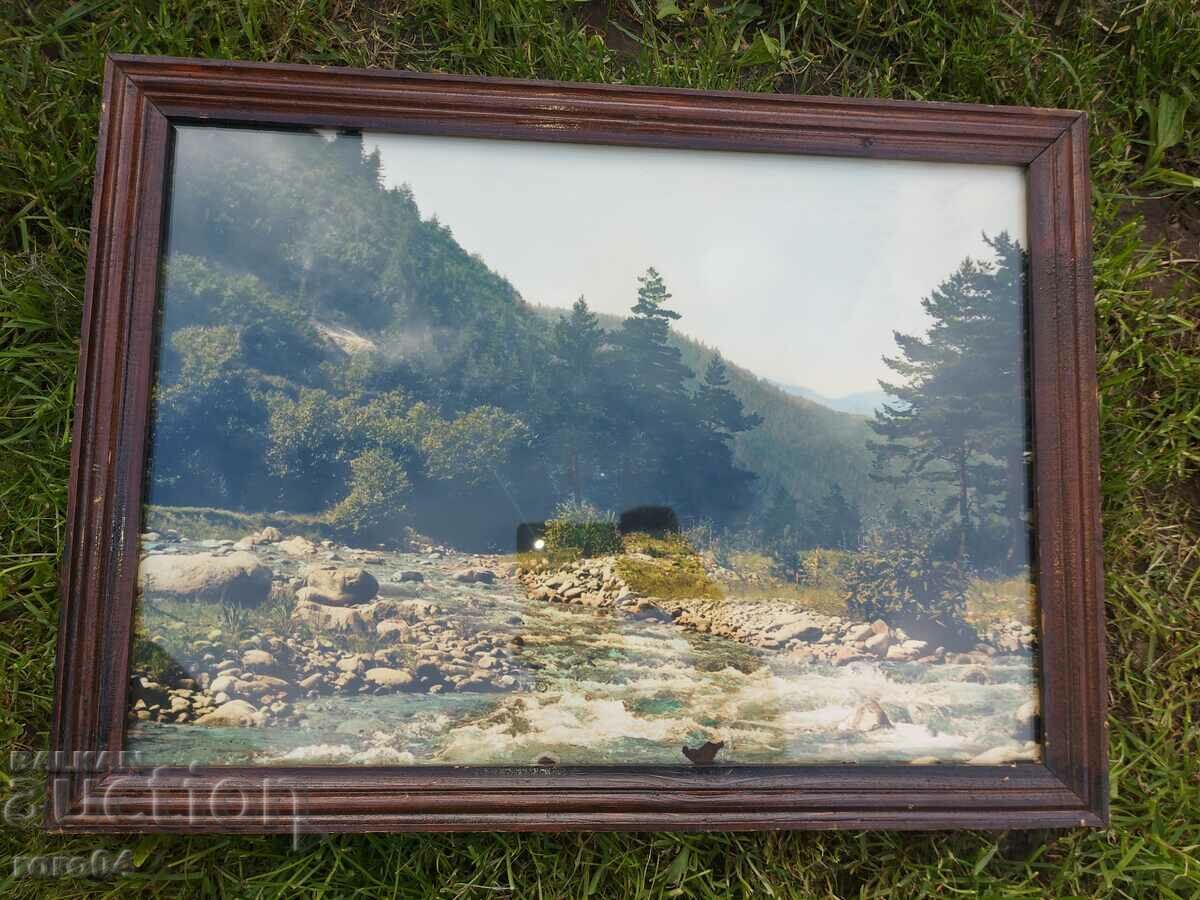 ΕΙΚΟΝΑ - ΑΦΙΣΑ - ΚΟΡΝΙΖΑ - ΓΥΑΛΙ ΕΙΚΟΝΑ - ΑΦΙΣΑ - ΚΟΡΝΙΖΑ - ΓΥΑΛΙ