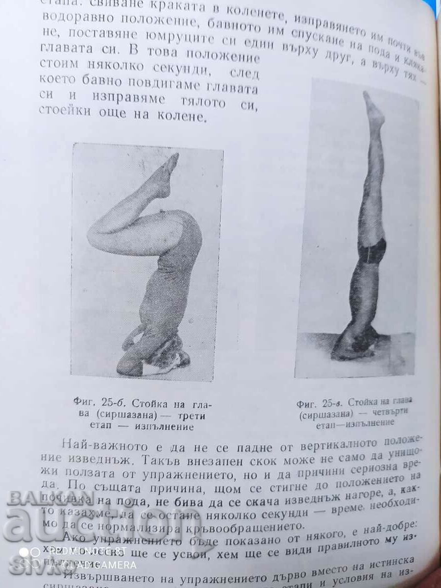 Delivery of Yoga exercises, collective, many photos Delivery of Yoga exercises, collective, many photos