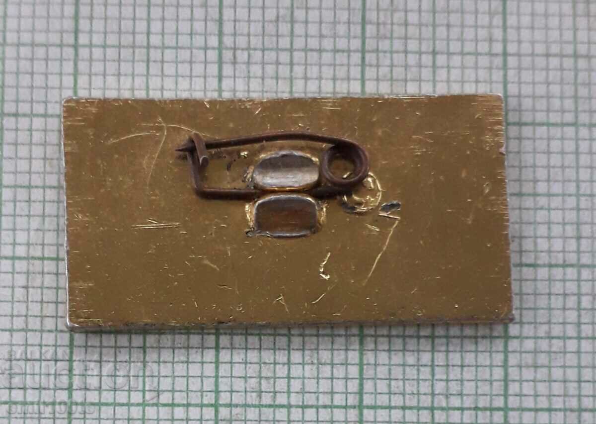 Delivery of Badge - 20 years Pioneer Camp Zenit USSR Delivery of Badge - 20 years Pioneer Camp Zenit USSR