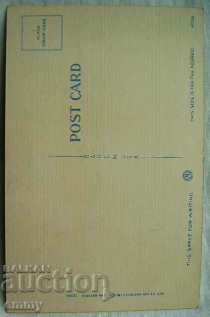 Auction Postcard - Saguaro Cactus, North America, USA Auction Postcard - Saguaro Cactus, North America, USA