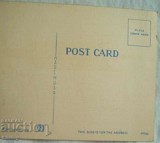 Delivery of Postcard - Saguaro Cactus, North America, USA Delivery of Postcard - Saguaro Cactus, North America, USA