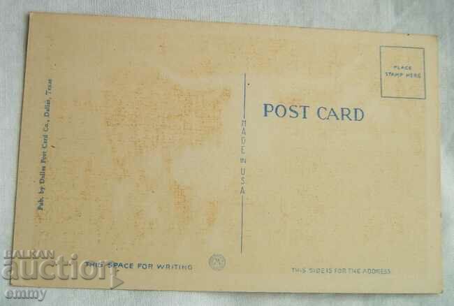 Postcard - Texas Longhorn Cattle, USA with price 3.00 BGN | € 1.53 Postcard - Texas Longhorn Cattle, USA with price 3.00 BGN | € 1.53