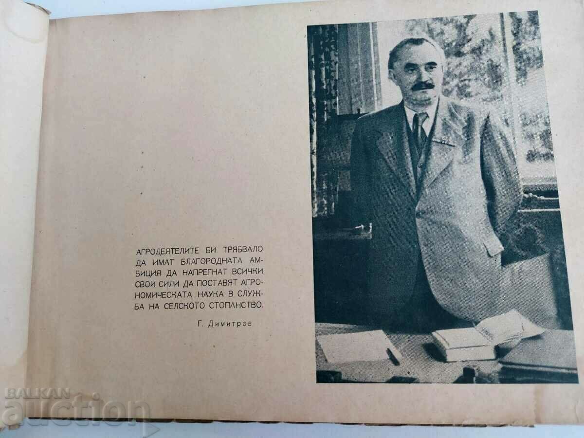Auction  1949 ALBUM FACULTY OF AGRONOMY