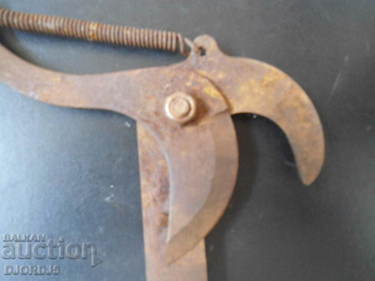 Delivery of Old pruning shears.